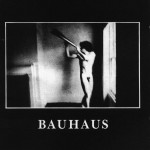 bauhaus-in-the-flat-field-cd